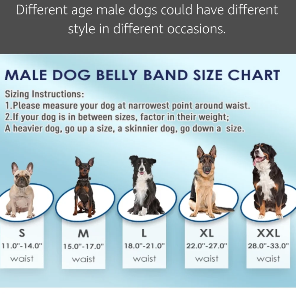 Science-Themed Male Dog Belly Bands - Size XL Potty Training Incontinance